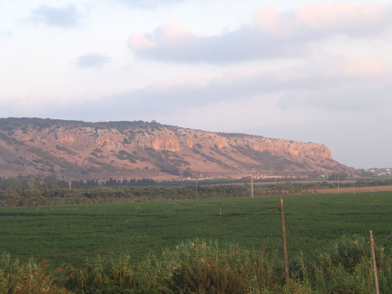 Mount Carmel in the Holy Land