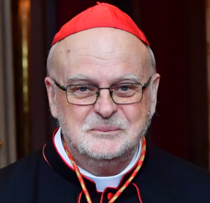 Anders Cardinal Arborelius OCD